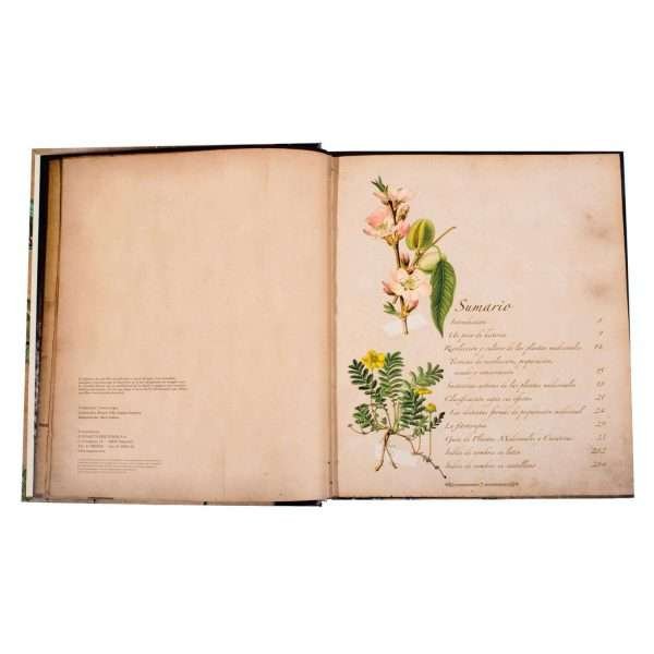 Atlas Ilustrado Plantas Silvestres e Infusiones Curativas - Imagen 2