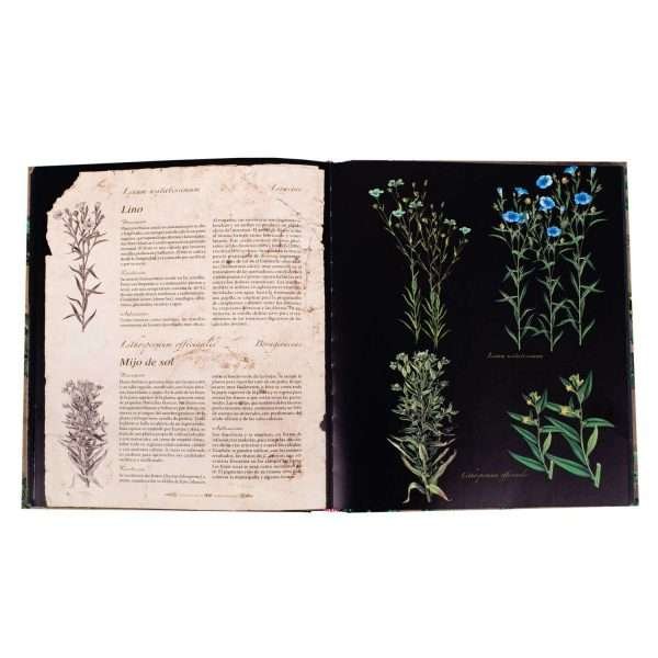 Atlas Ilustrado Plantas Silvestres e Infusiones Curativas - Imagen 4