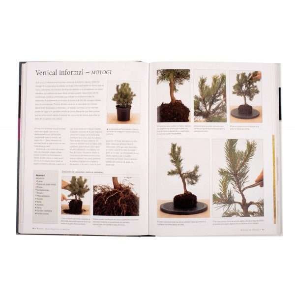 Bonsai, Guía Práctica Completa - Imagen 3