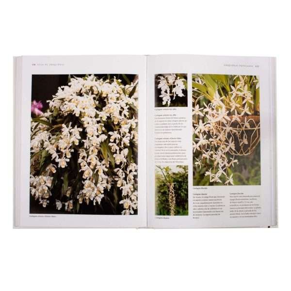 Orquídeas, Enciclopedia Práctica - Imagen 2