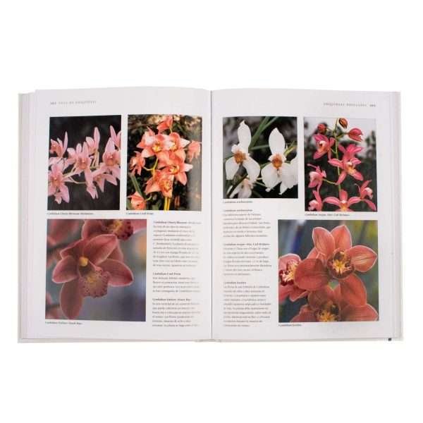 Orquídeas, Enciclopedia Práctica - Imagen 3
