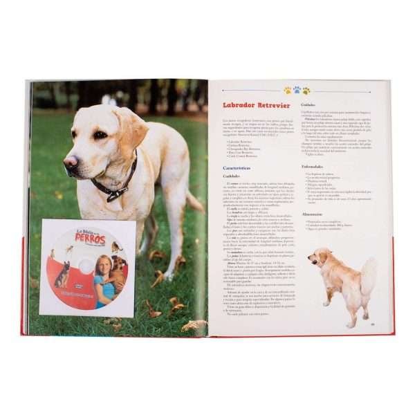 La Biblia de los Perros - Imagen 5