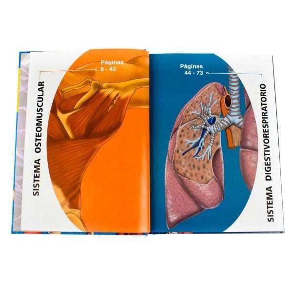El Cuerpo Humano en 3D - Imagen 2