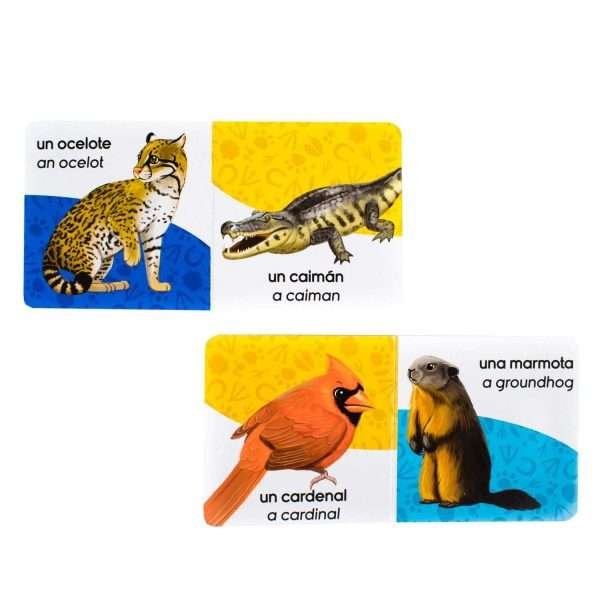 Mi Gran Minibiblioteca de Animales - Imagen 5