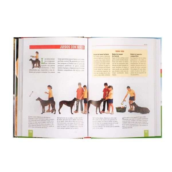 Adiestramiento Canino - Imagen 3
