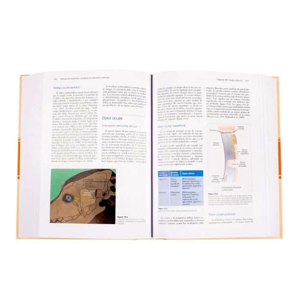 Manual Anestesia y Analgesia - Imagen 3