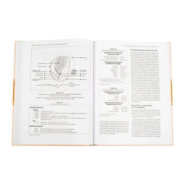 Manual de Odontología - Imagen 3