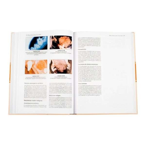 Manual de Odontología - Imagen 4