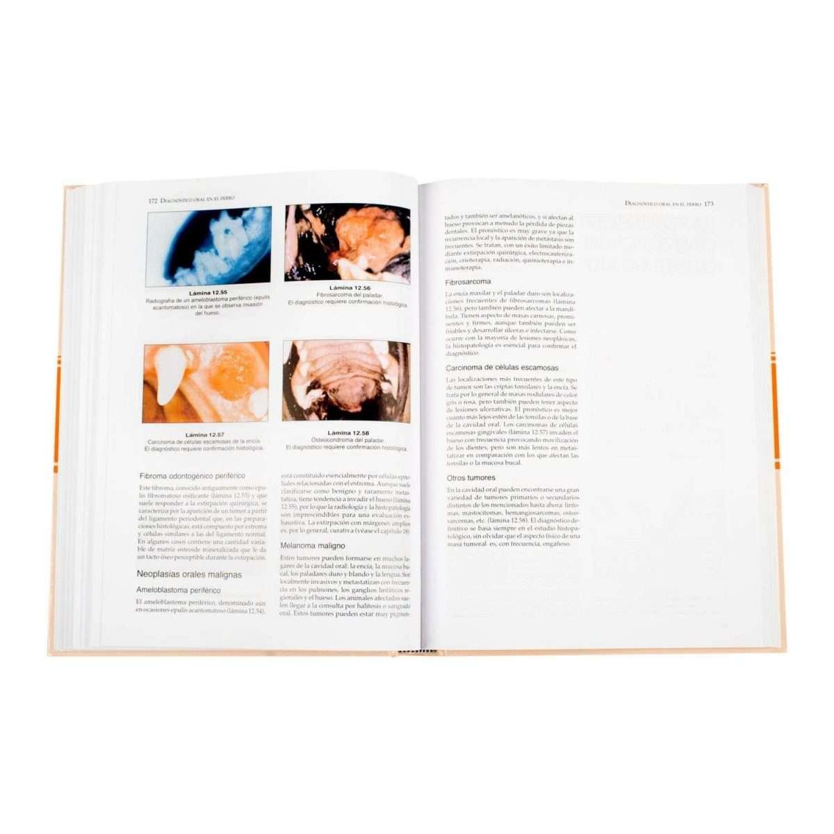Manual de Odontología - Imagen 4