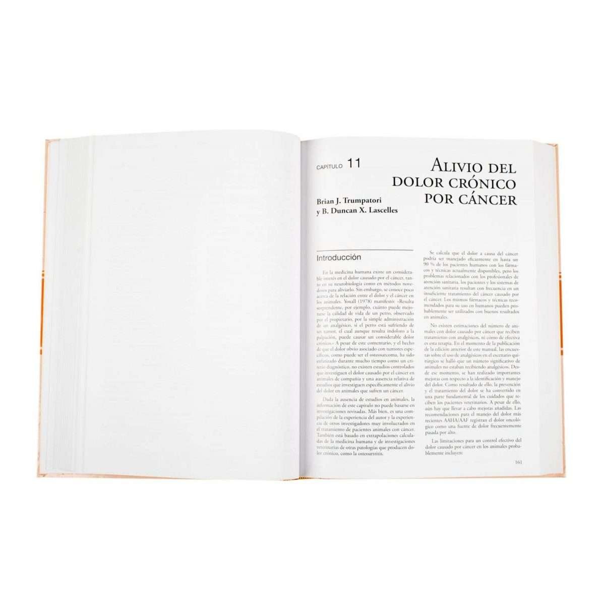 Manual de Oncología en Pequeños Animales - Imagen 3