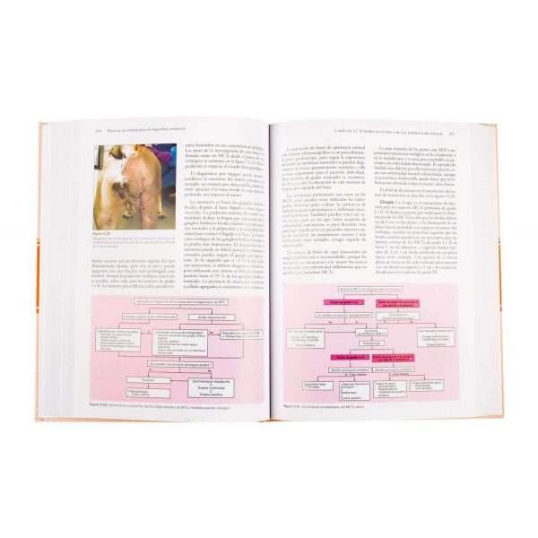 Manual de Oncología en Pequeños Animales - Imagen 4