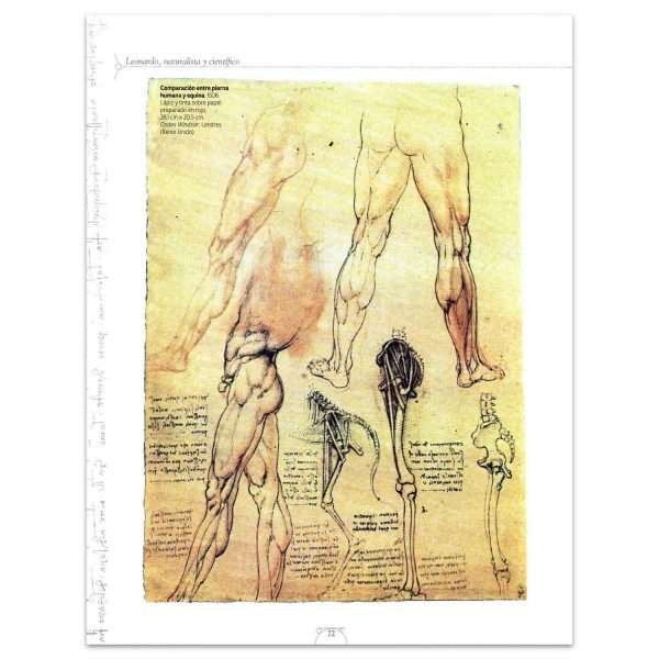 Leonardo, El Genio Universal - Imagen 3