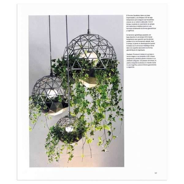 Decorar con Plantas - Imagen 2