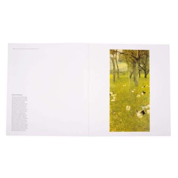 Libro Fotográfico, Klimt