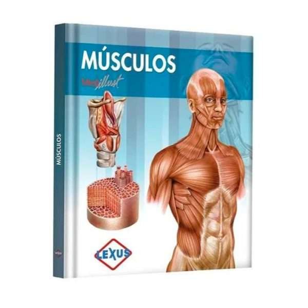 Músculos