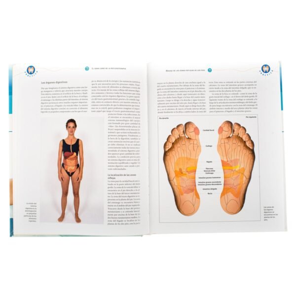 El Gran Libro de la Reflexoterapia - Imagen 4