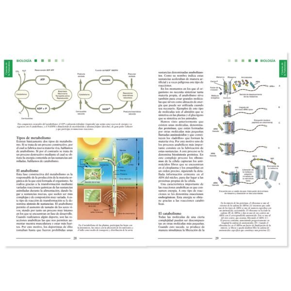 Enciclopedia del Estudiante - Imagen 3