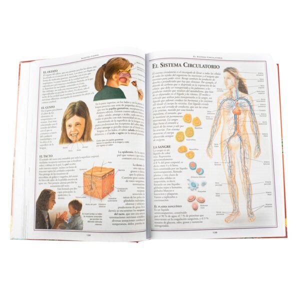 Enciclopedia: Mi Primaria Educativa - Imagen 2