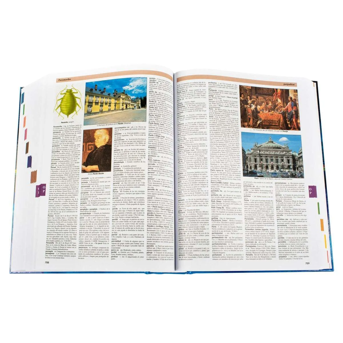 Lexus: Diccionario Enciclopédico Color - Imagen 4