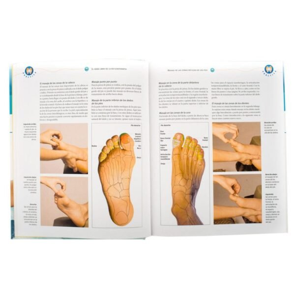 El Gran Libro de la Reflexoterapia - Imagen 2