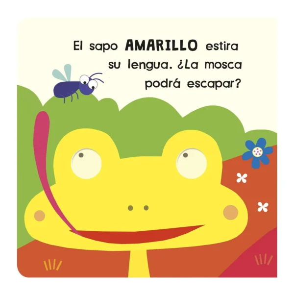 Mira y Descubre: Colores - Imagen 2