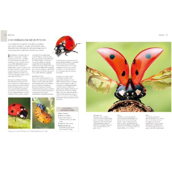 Enciclopedia Ilustrada de Micro Animales - Imagen 4