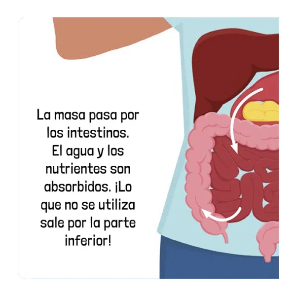 El Cuerpo Humano - Imagen 3