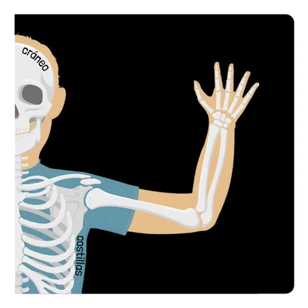 El Cuerpo Humano - Imagen 2