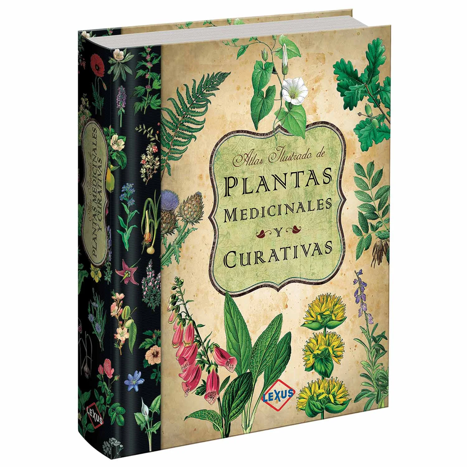 Atlas Ilustrado de Plantas Medicinales y Curativas